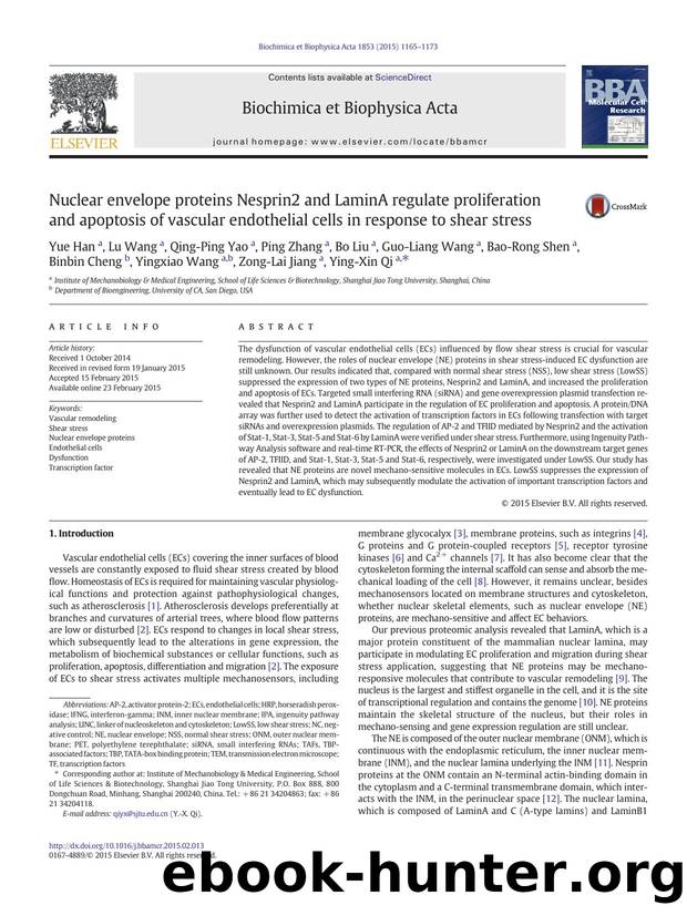 Nuclear envelope proteins Nesprin2 and LaminA regulate proliferation and apoptosis of vascular endothelial cells in response to shear stress by unknow