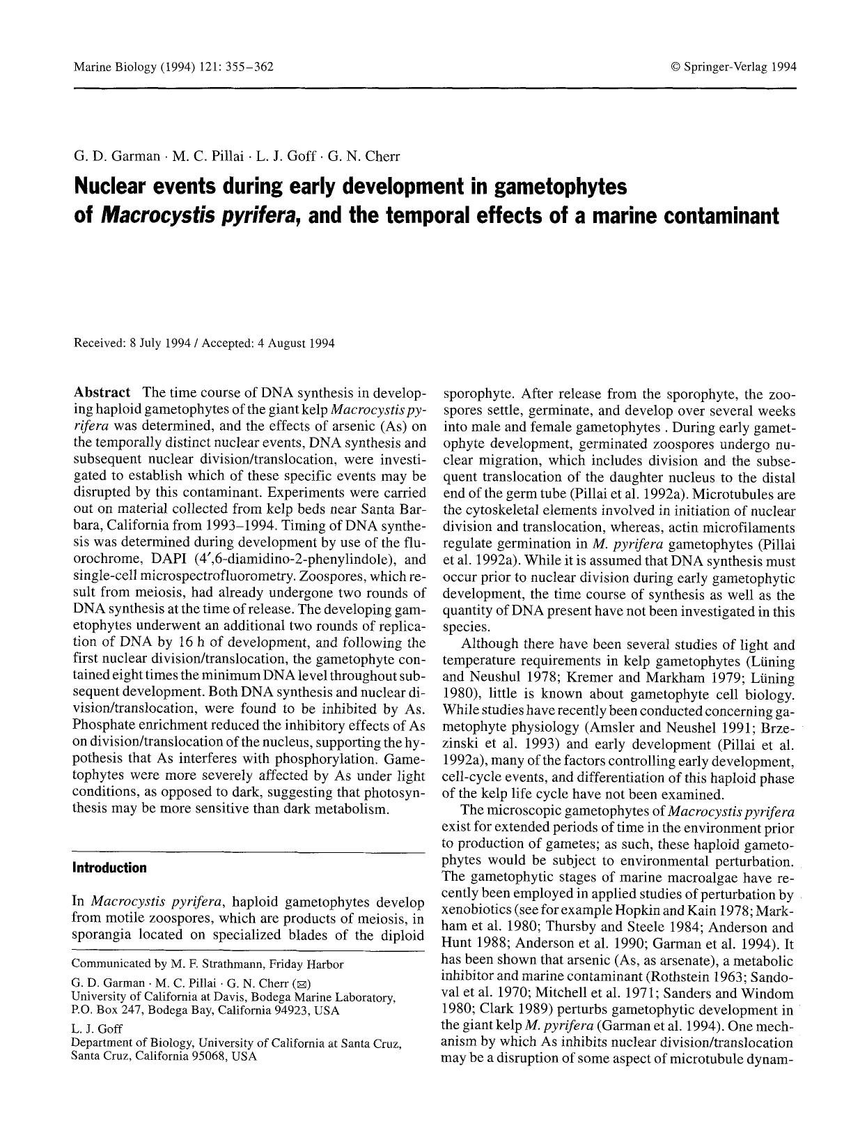 Nuclear events during early development in gametophytes of <Emphasis Type="Italic">Macrocystis pyrifera<Emphasis>, and the temporal effects of a marine contaminant by Unknown