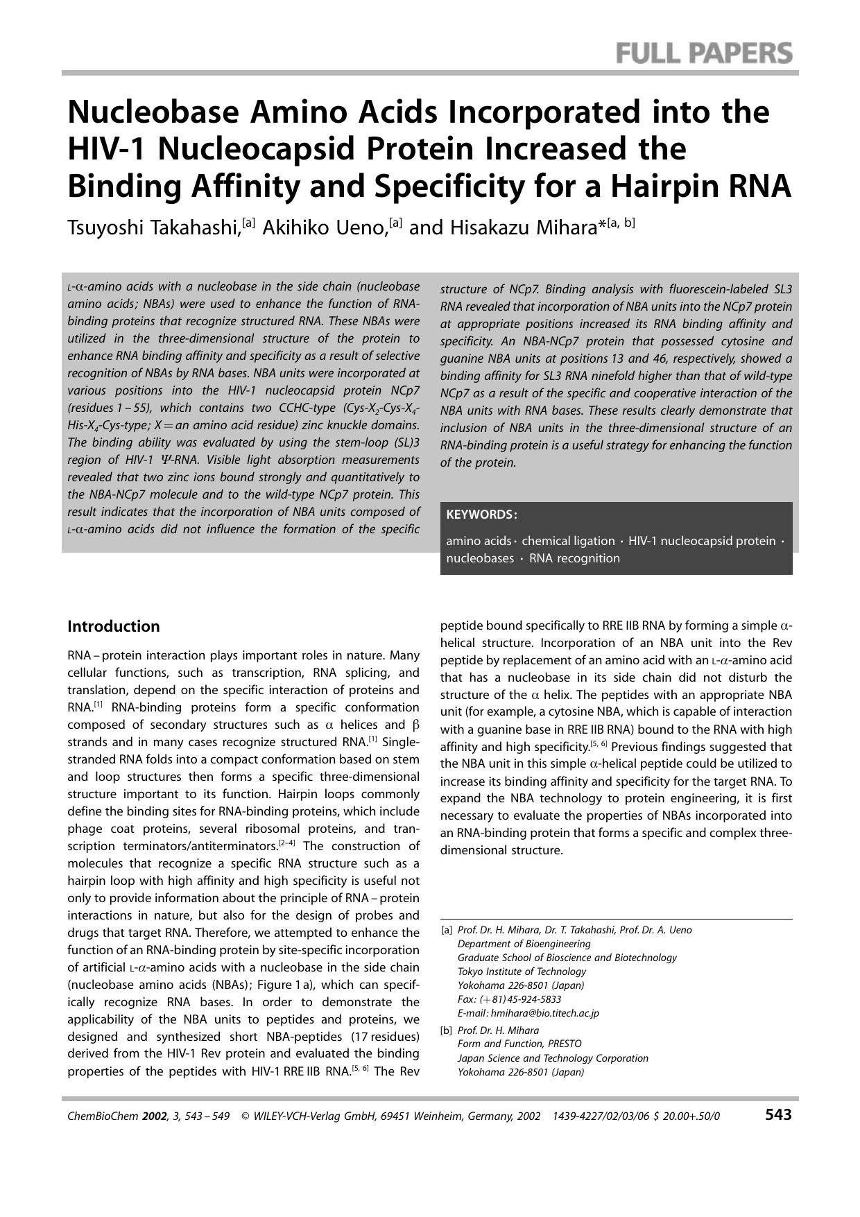 Nucleobase Amino Acids Incorporated into the HIV-1 Nucleocapsid Protein Increased the Binding Affinity and Specificity for a Hairpin RNA by Unknown