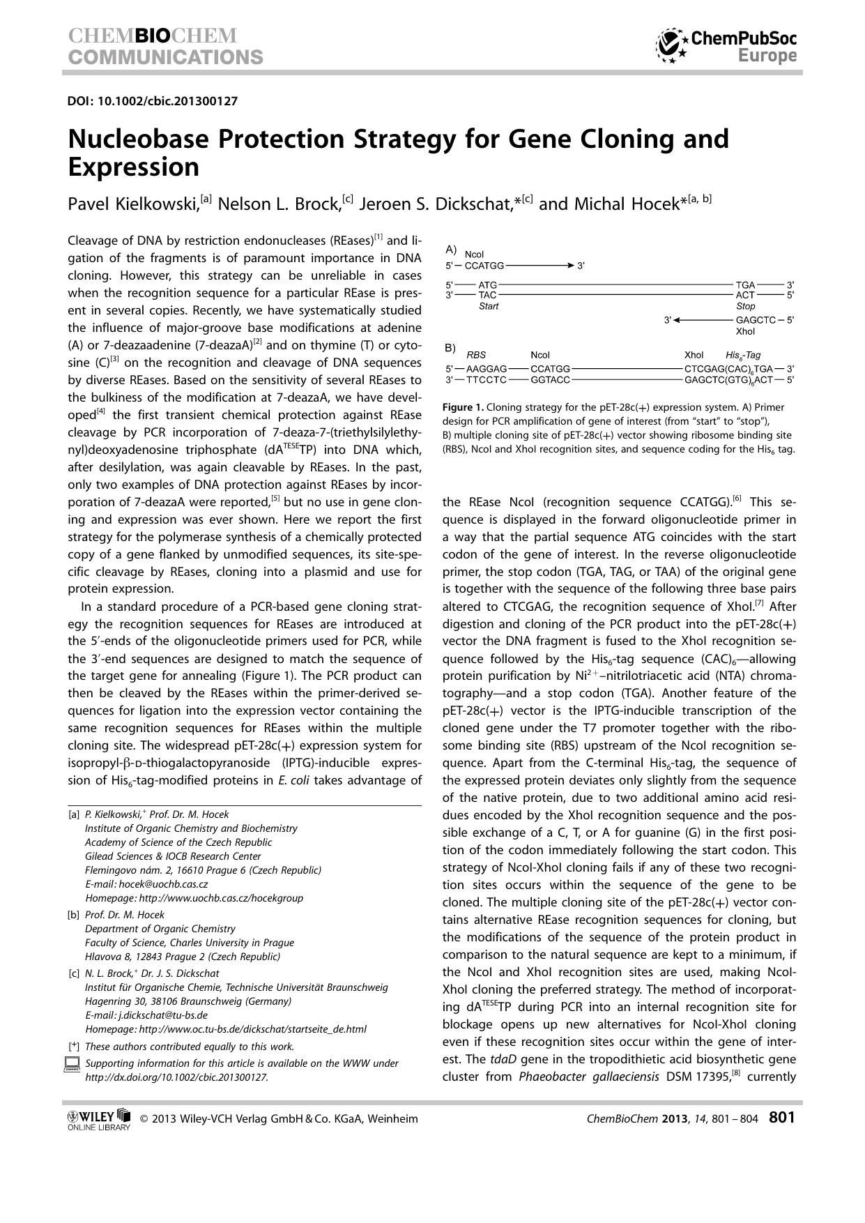 Nucleobase Protection Strategy for Gene Cloning and Expression by Unknown