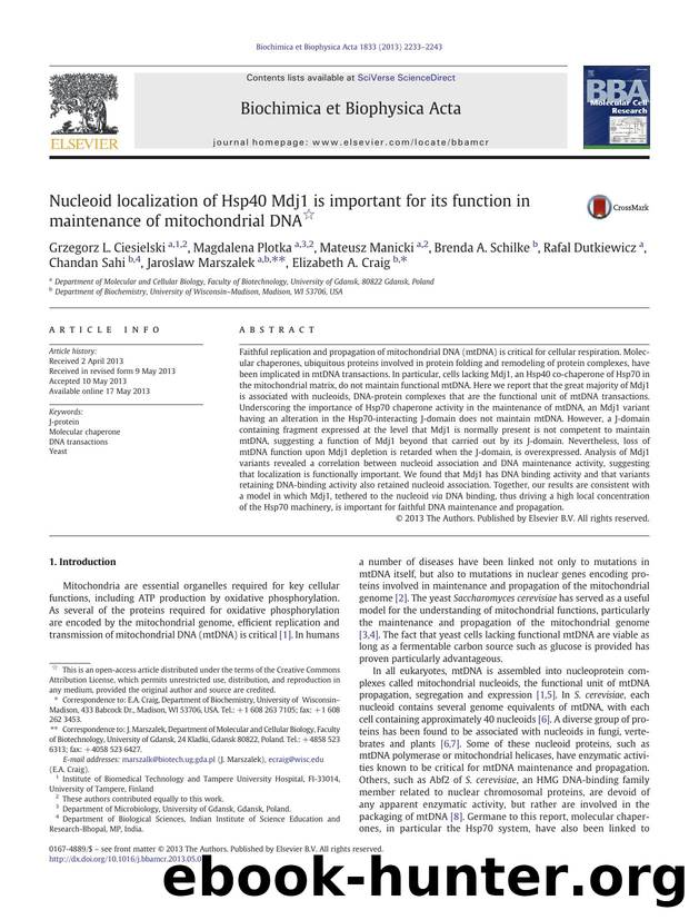 Nucleoid localization of Hsp40 Mdj1 is important for its function in maintenance of mitochondrial DNA by unknow