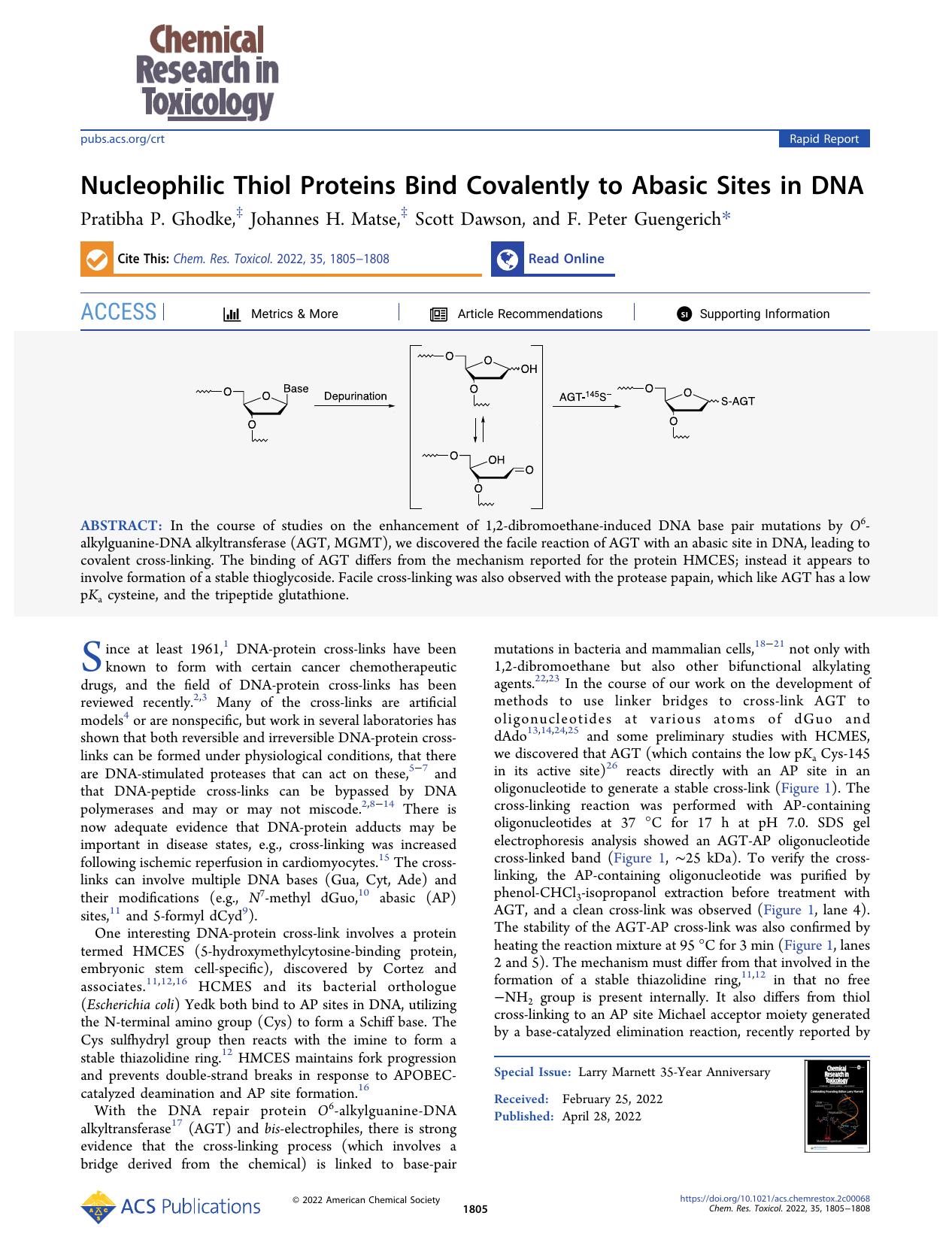 Nucleophilic Thiol Proteins Bind Covalently to Abasic Sites in DNA by Pratibha P. Ghodke Johannes H. Matse Scott Dawson and F. Peter Guengerich