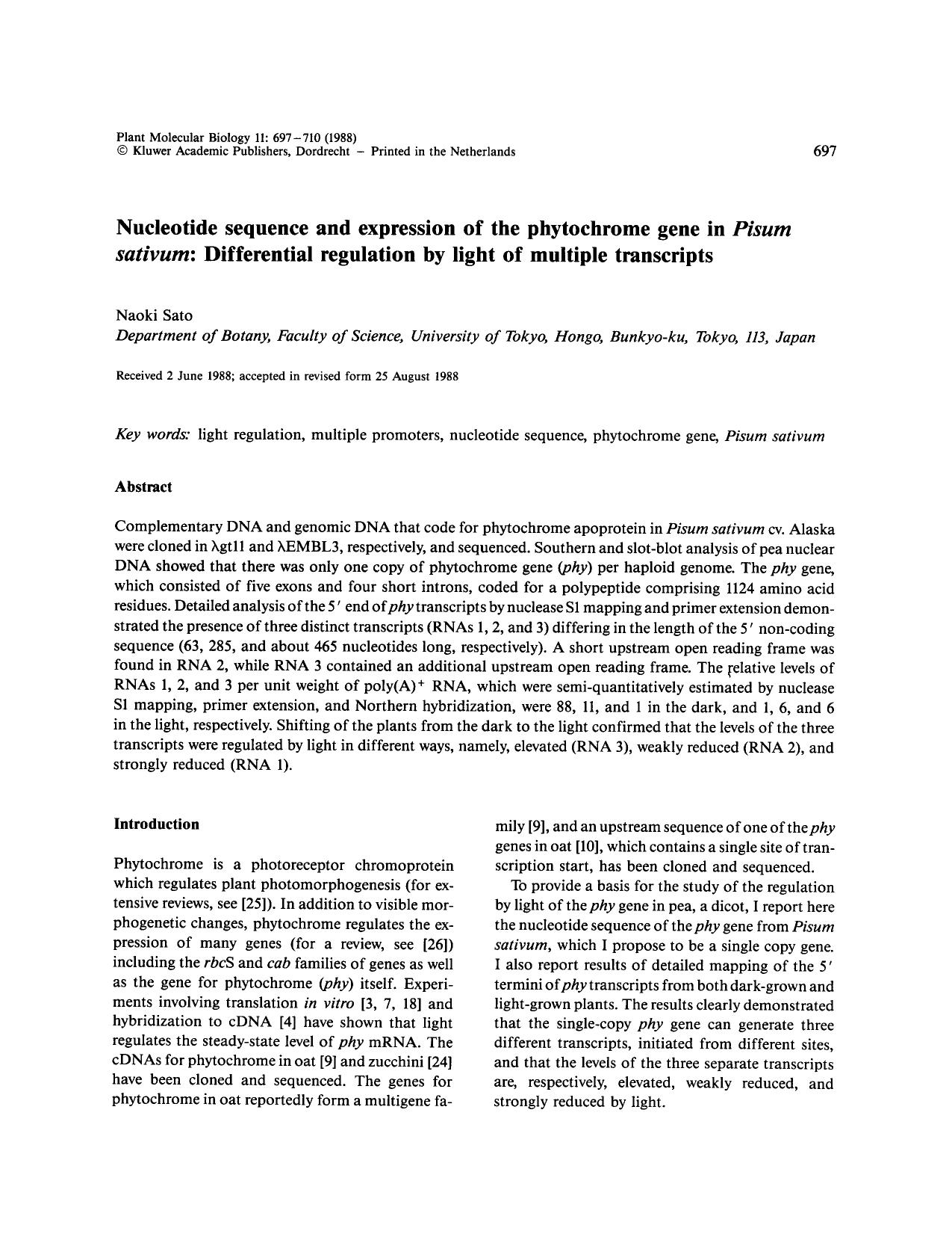 Nucleotide sequence and expression of the phytochrome gene in <Emphasis Type="Italic">Pisum sativum<Emphasis>: Differential regulation by light of multiple transcripts by Unknown