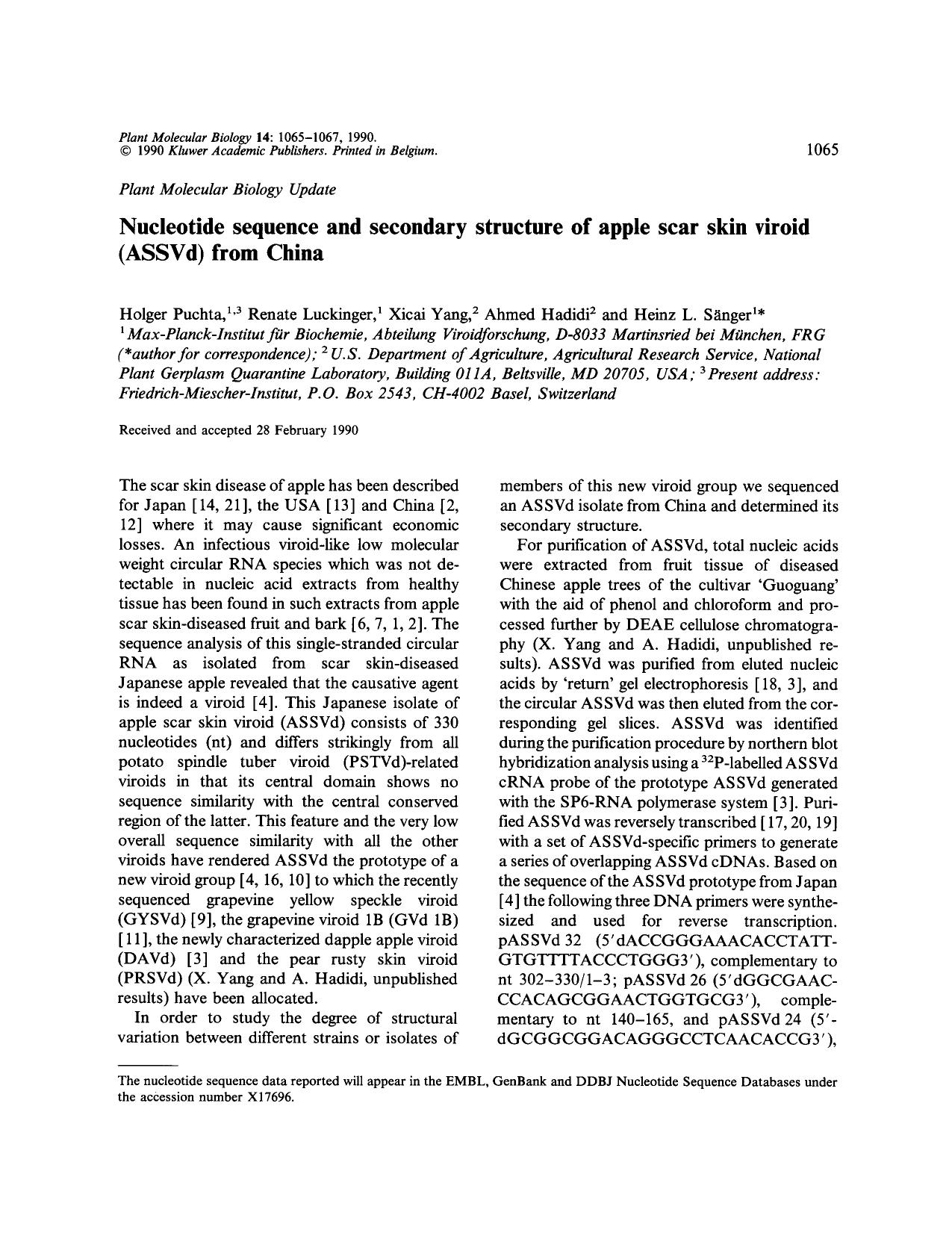 Nucleotide sequence and secondary structure of apple scar skin viroid (ASSVd) from China by Unknown