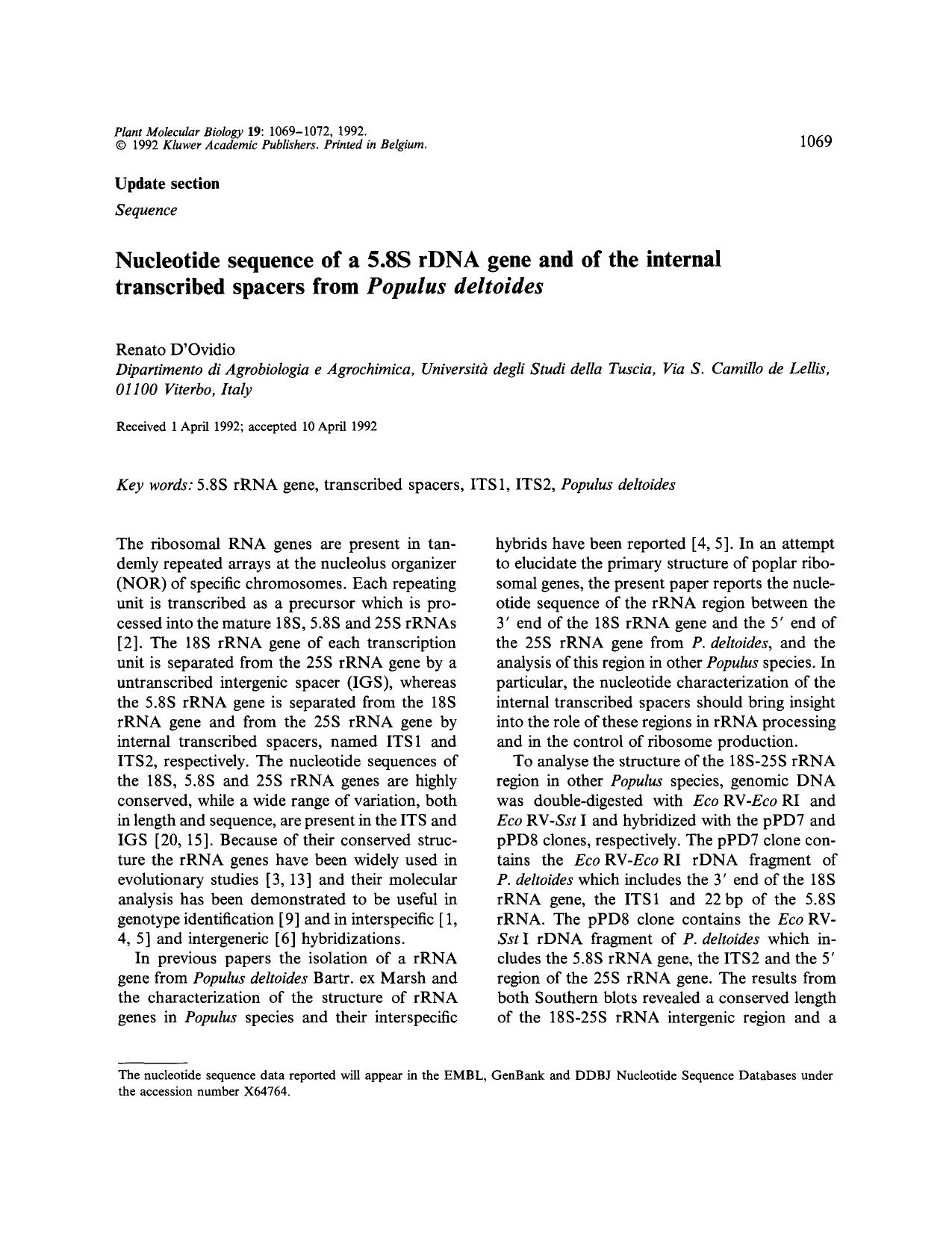 Nucleotide sequence of a 5.8S rDNA gene and of the internal transcribed spacers from <Emphasis Type="Italic">Populus deltoides<Emphasis> by Unknown