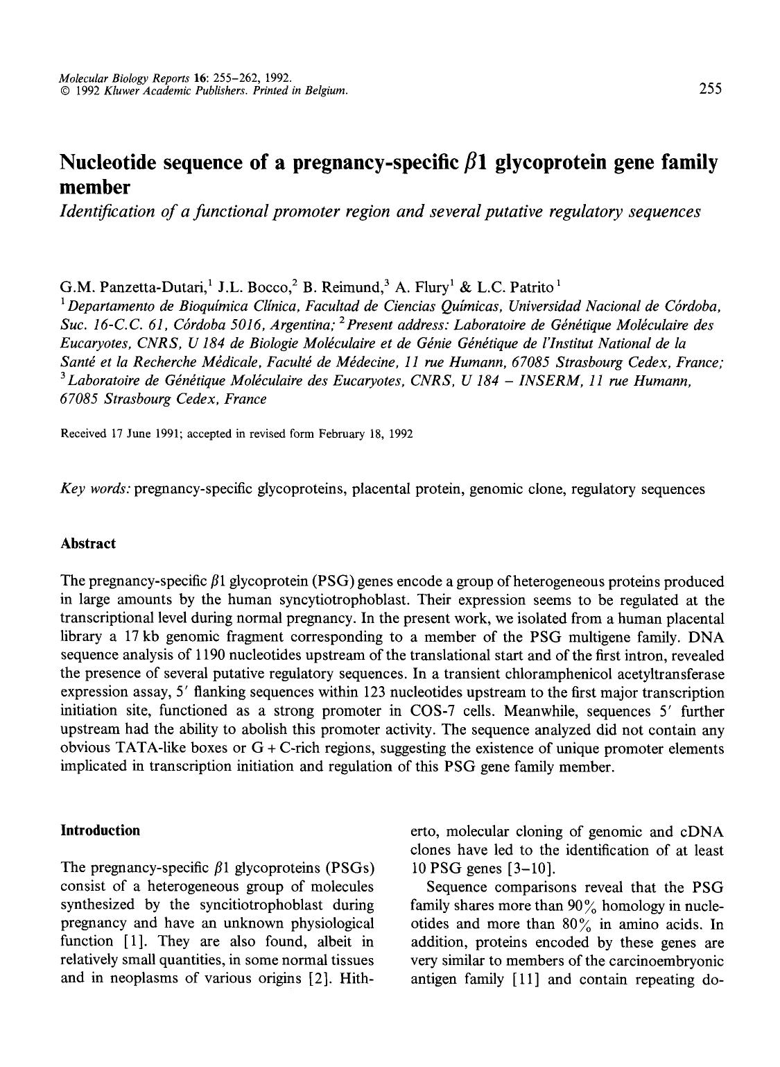 Nucleotide sequence of a pregnancy-specific β1 glycoprotein gene family member by Unknown