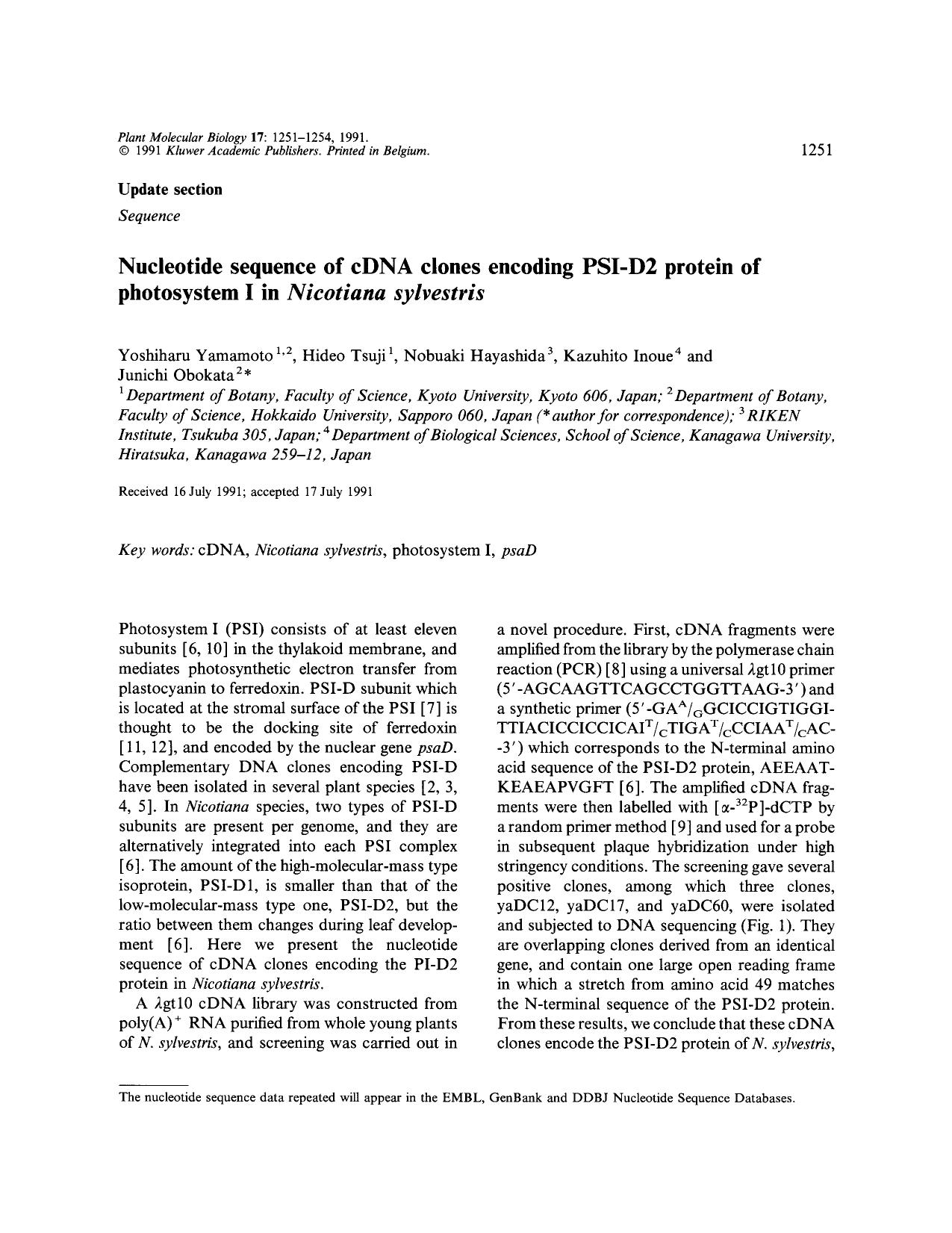 Nucleotide sequence of cDNA clones encoding PSI-D2 protein of photosystem I in <Emphasis Type="Italic">Nicotiana sylvestris<Emphasis> by Unknown