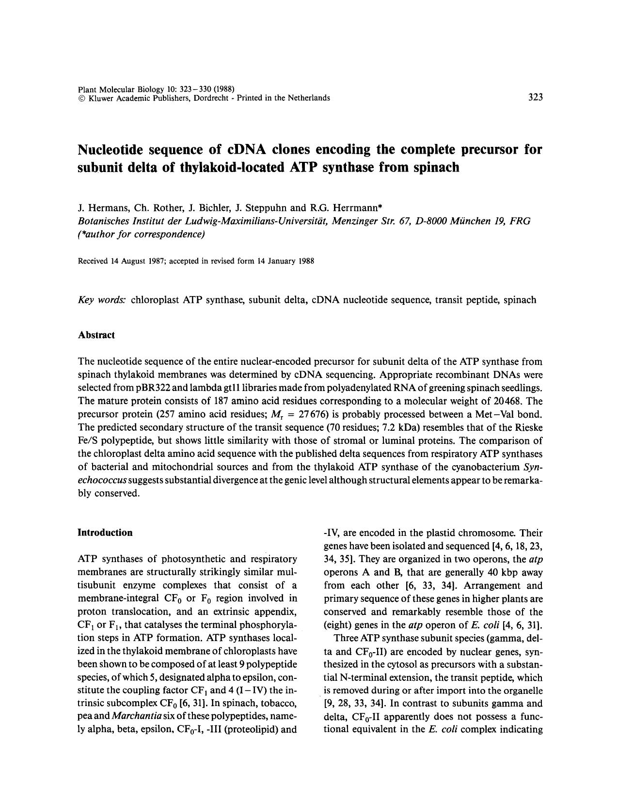 Nucleotide sequence of cDNA clones encoding the complete precursor for subunit delta of thylakoid-located ATP synthase from spinach by Unknown