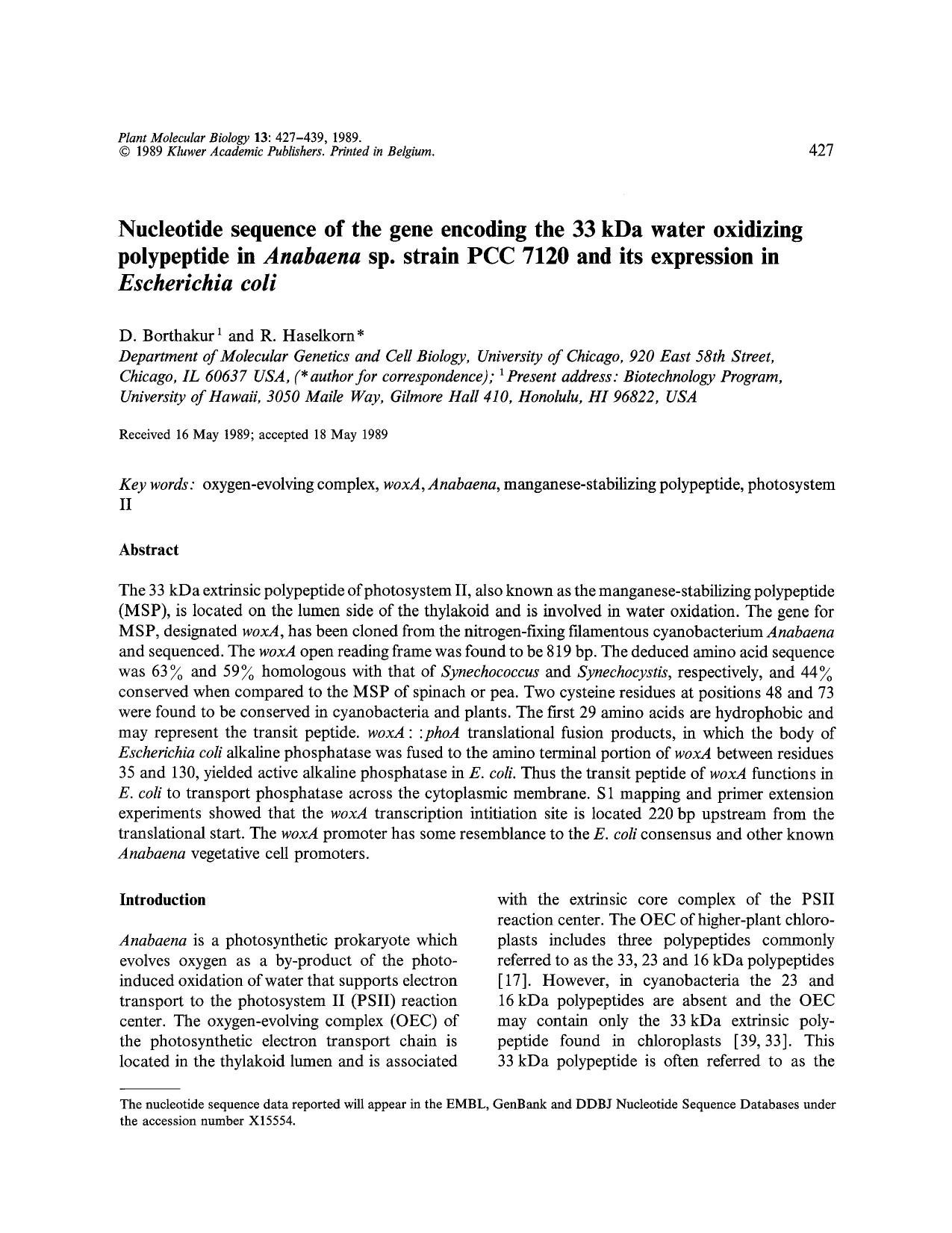 Nucleotide sequence of the gene encoding the 33 kDa water oxidizing polypeptide in <Emphasis Type="Italic">Anabaena<Emphasis> sp. strain PCC 7120 and its expression in <Emphasis Ty by Unknown