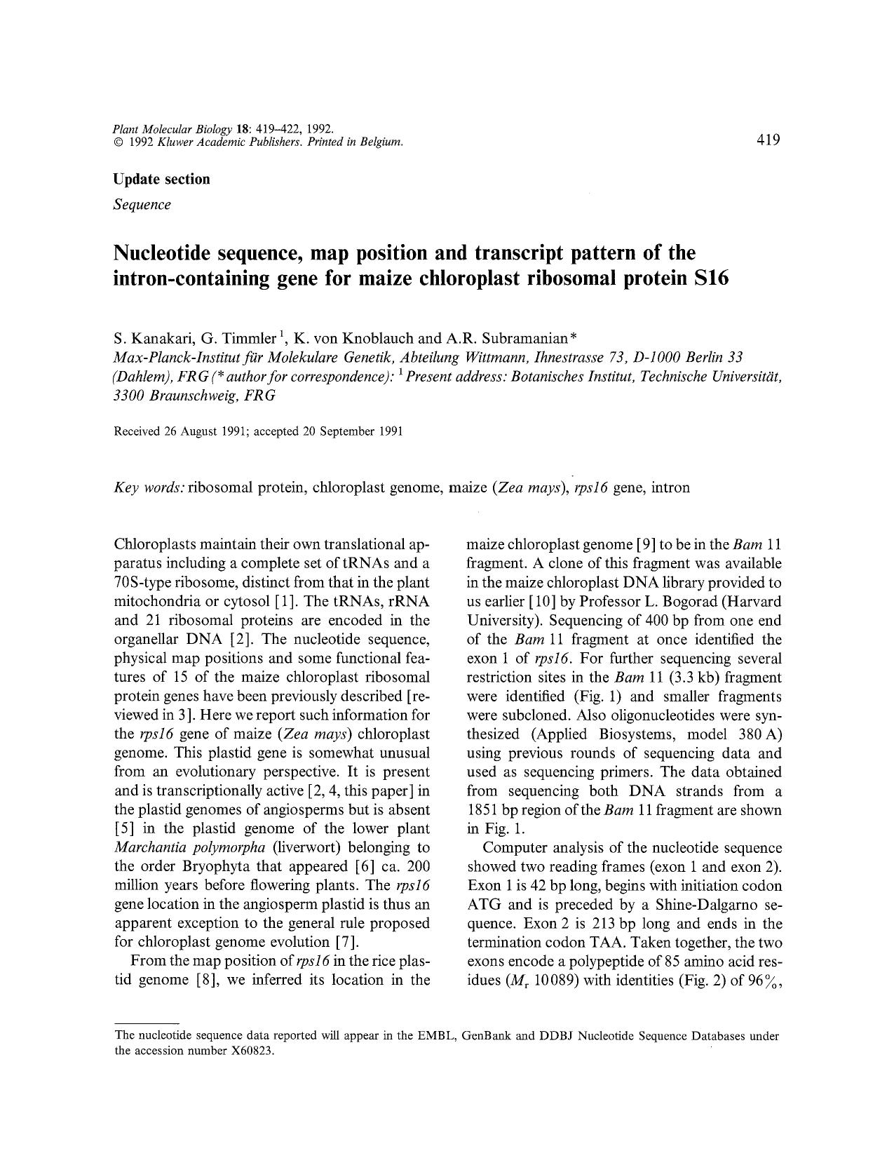 Nucleotide sequence, map position and transcript pattern of the intron-containing gene for maize chloroplast ribosomal protein S16 by Unknown