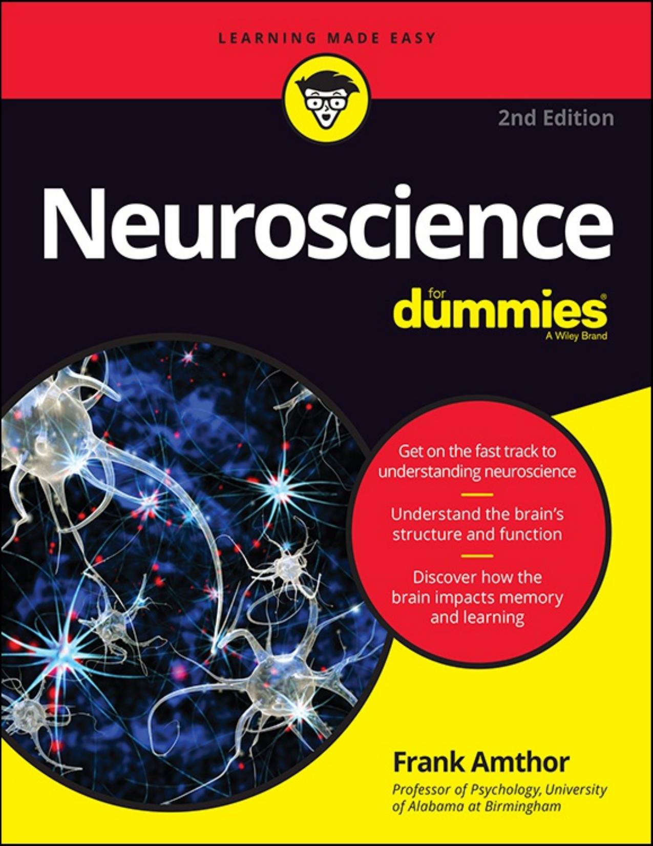Nueroscience for Dummies by Frank Amthor