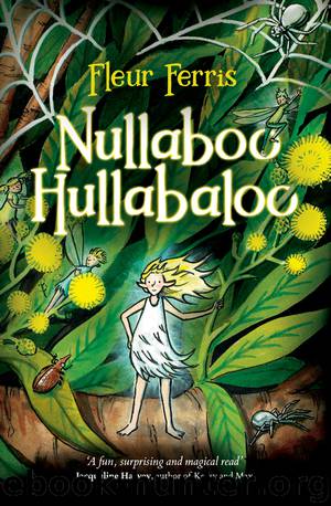 Nullaboo Hullabaloo by Fleur Ferris
