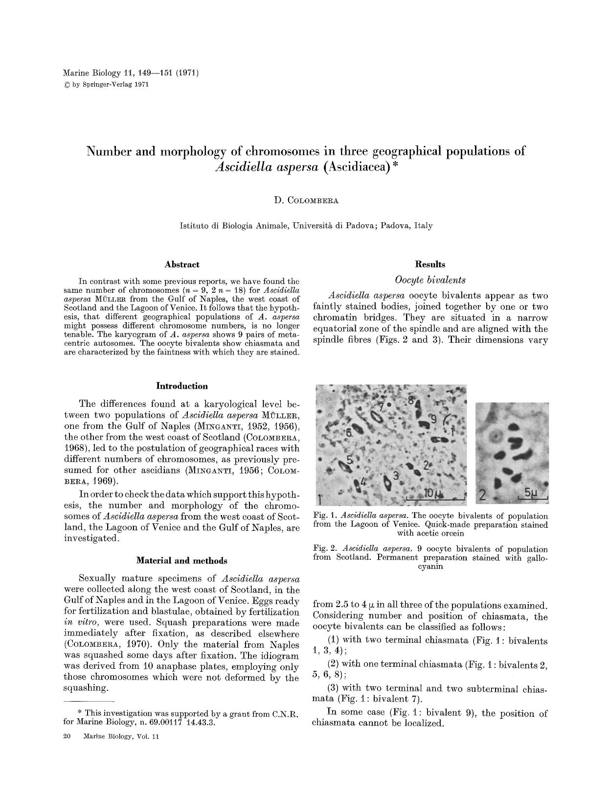 Number and morphology of chromosomes in three geographical populations of <Emphasis Type="Italic">Ascidiella aspersa<Emphasis> (Ascidiacea) by Unknown