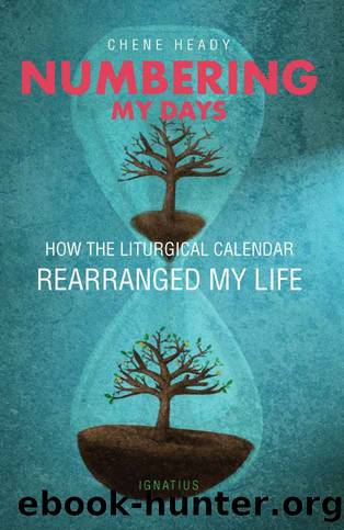 Numbering My Days: How the Liturgical Calendar Rearranged My Life by Chene Heady