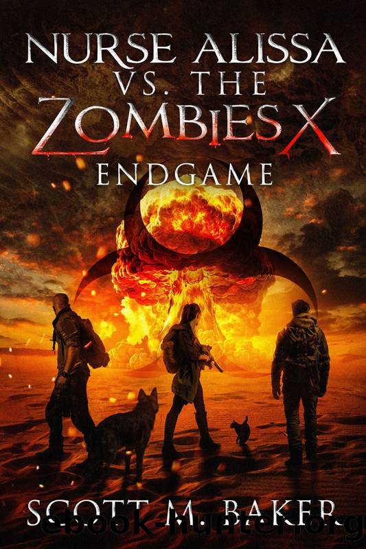 Nurse Alissa vs. The Zombies X: Endgame by Scott M. Baker