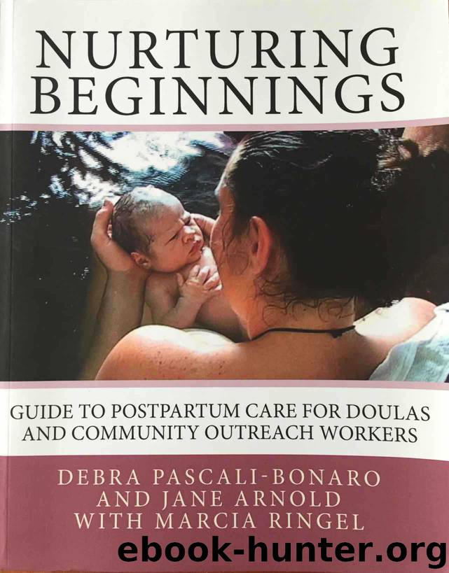 Nurturing Beginnings: Guide to Postpartum Care for Doulas and Community Outreach Workers by Ringel Marcia & Arnold Jane & Pascali-Bonaro Debra