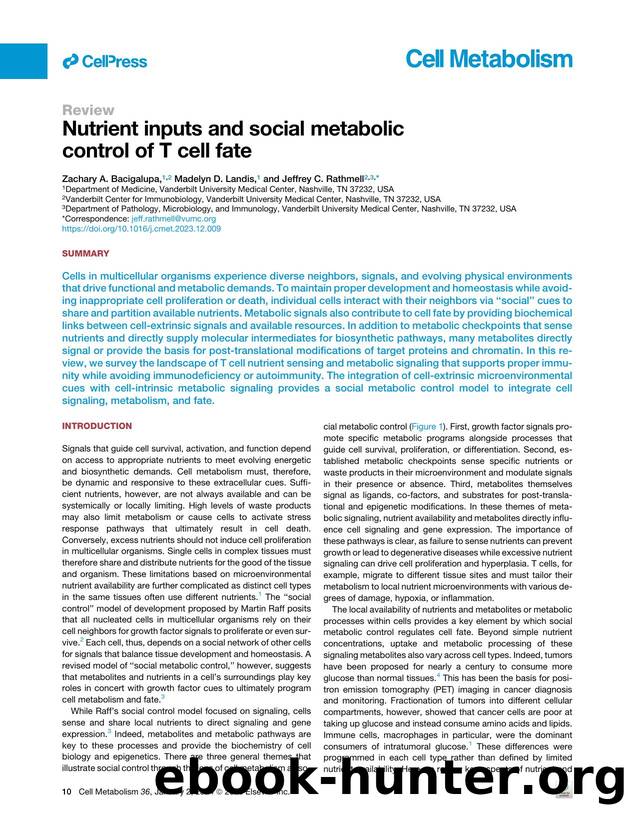Nutrient inputs and social metabolic control of T&nbsp;cell fate by Zachary A. Bacigalupa & Madelyn D. Landis & Jeffrey C. Rathmell