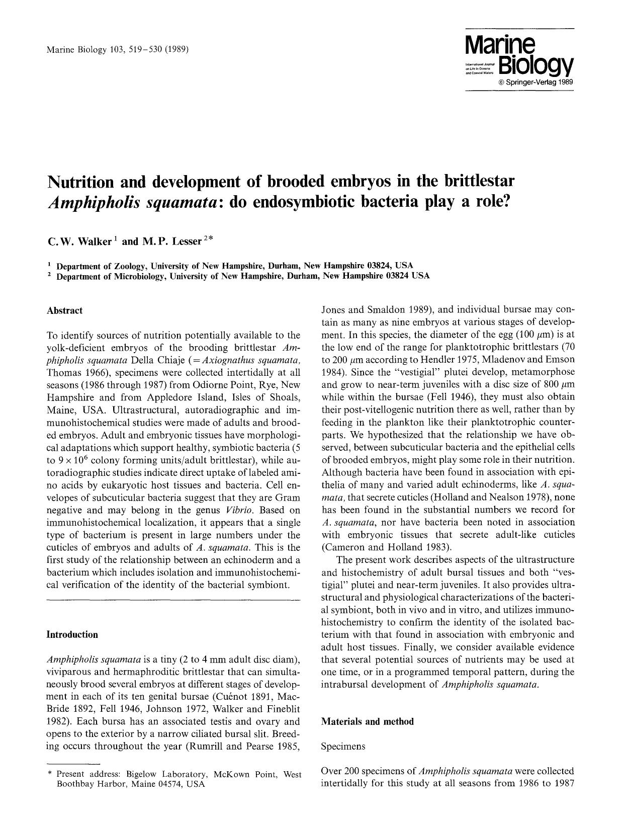 Nutrition and development of brooded embryos in the brittlestar <Emphasis Type="Italic">Amphipholis squamata<Emphasis>: do endosymbiotic bacteria play a role? by Unknown