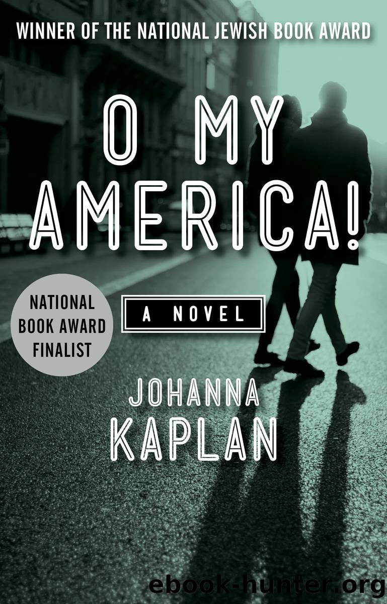 O My America! by Johanna Kaplan