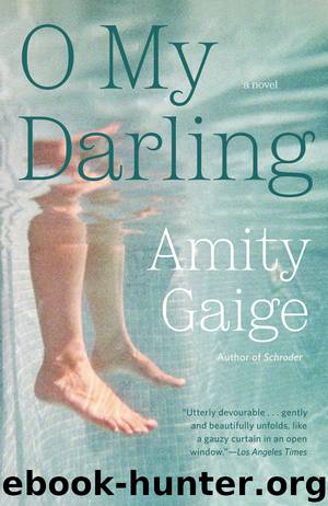 O My Darling by Amity Gaige