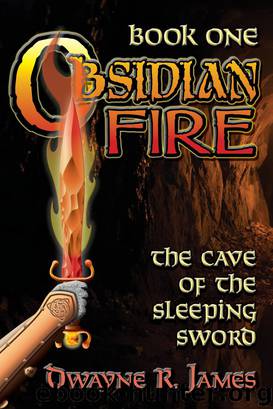 OBSIDIAN FIRE: The Cave of the Sleeping Sword by Dwayne R. James