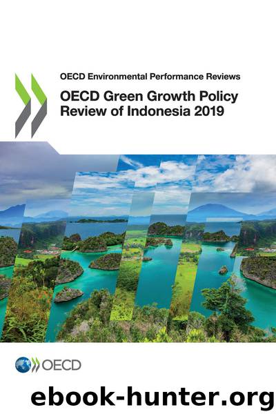 OECD Green Growth Policy Review of Indonesia 2019 by OECD