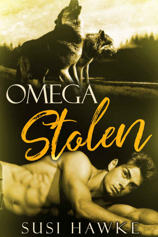 OMEGA STOLEN: M/M Shifter Mpreg Romance (Northern Lodge Pack Book 1) by Susi Hawke