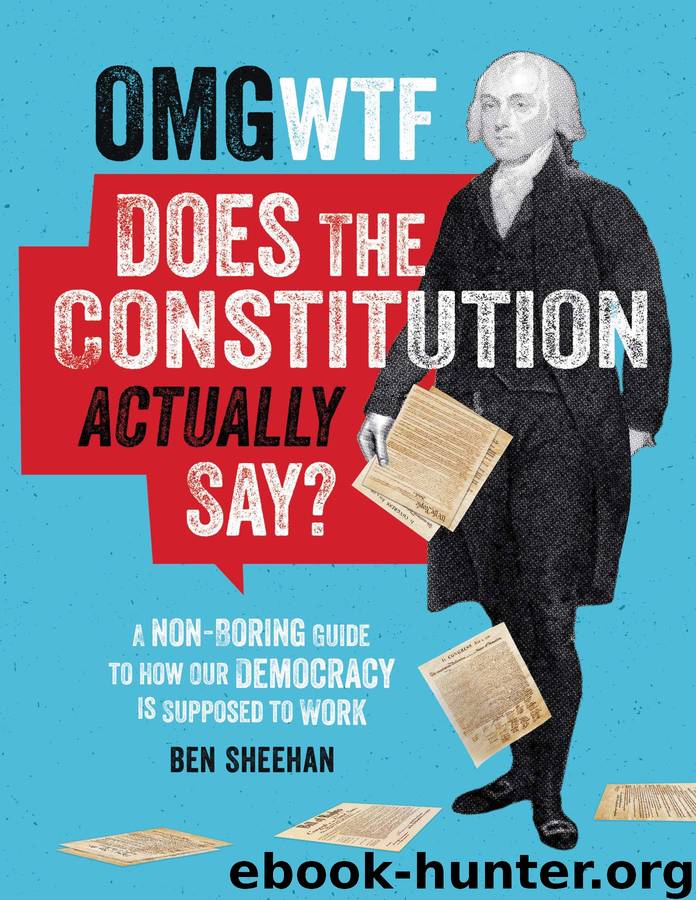 OMG WTF Does the Constitution Actually Say?: A Non-Boring Guide to How Our Democracy Is Supposed to Work by Ben Sheehan