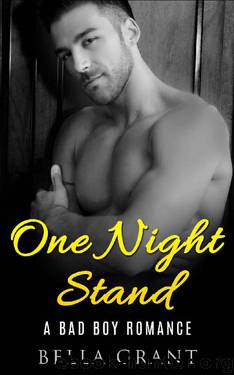 ONE NIGHT STAND (A Billionaire Bad Boy Romance) by Bella Grant