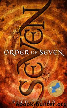 ORDER OF SEVEN by Beth Teliho