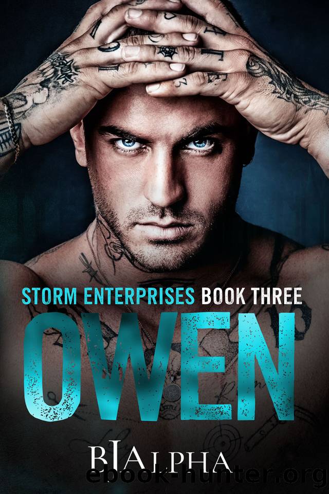 OWEN : STORM ENTERPRISES BOOK 3 by BJ Alpha