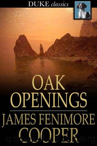 Oak Openings: Or, the Bee Hunter by Cooper James Fenimore
