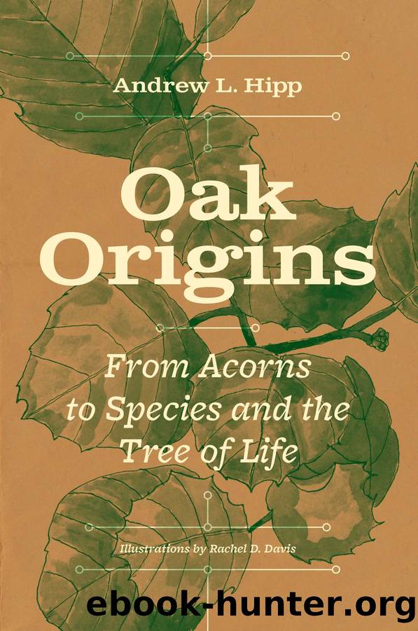 Oak Origins by Andrew L. Hipp