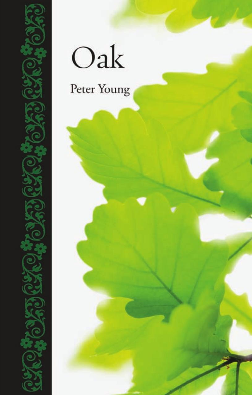 Oak by Peter Young