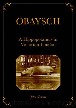 Obaysch by Simons John;