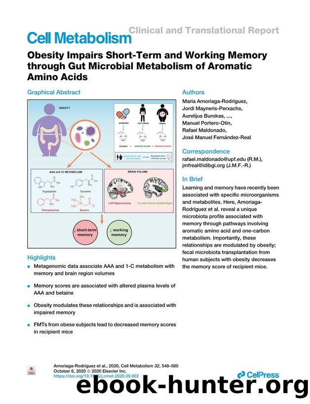 Obesity Impairs Short-Term and Working Memory through Gut Microbial Metabolism of Aromatic Amino Acids by unknow