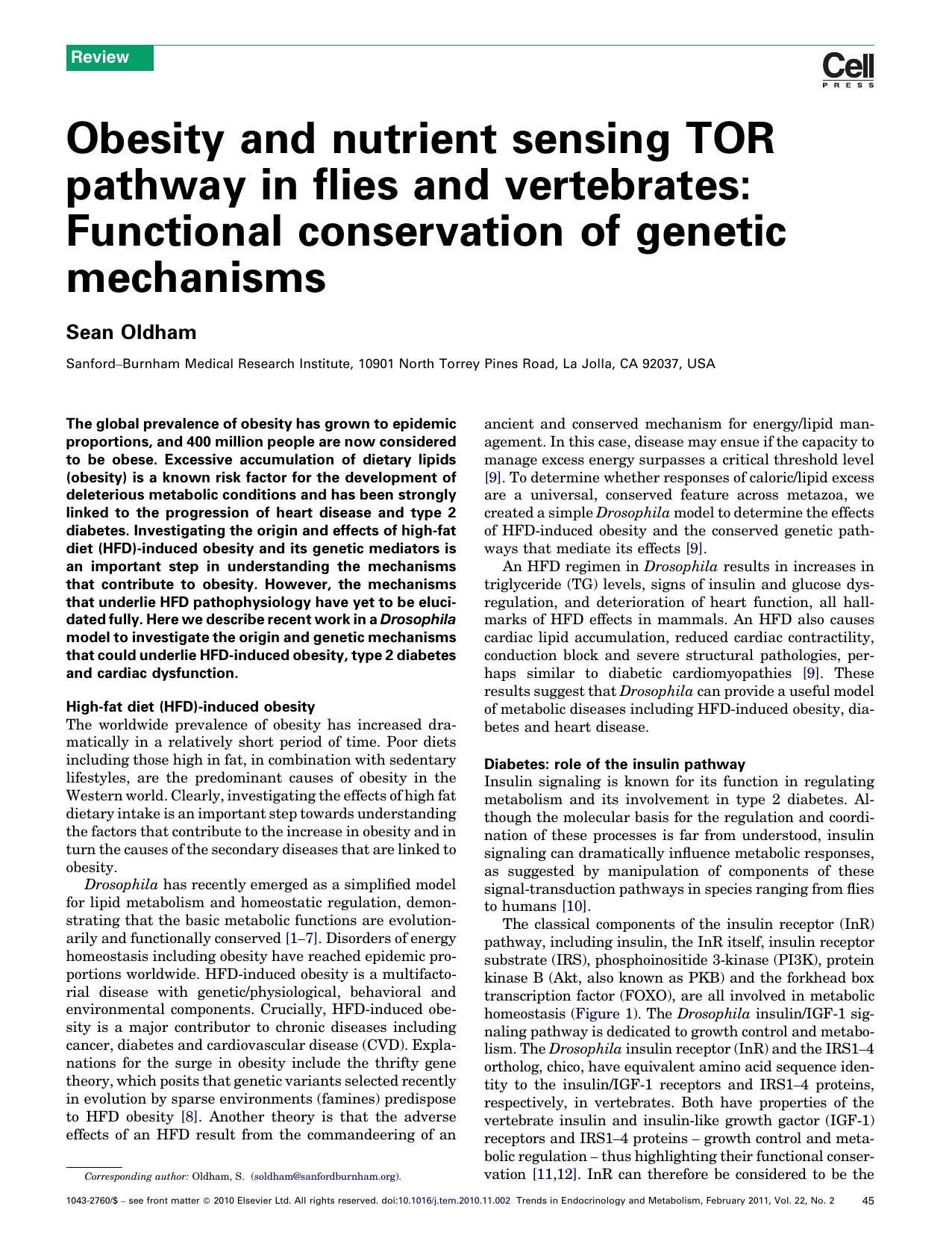 Obesity and nutrient sensing TOR pathway in flies and vertebrates: Functional conservation of genetic mechanisms by Sean Oldham