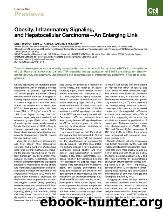 Obesity, Inflammatory Signaling, and Hepatocellular Carcinoma-An Enlarging Link by Sara Toffanin; Scott L. Friedman; Josep M. Llovet