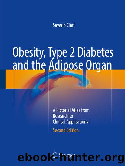 Obesity, Type 2 Diabetes and the Adipose Organ by Saverio Cinti