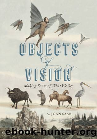 Objects of Vision by Saab A. Joan;