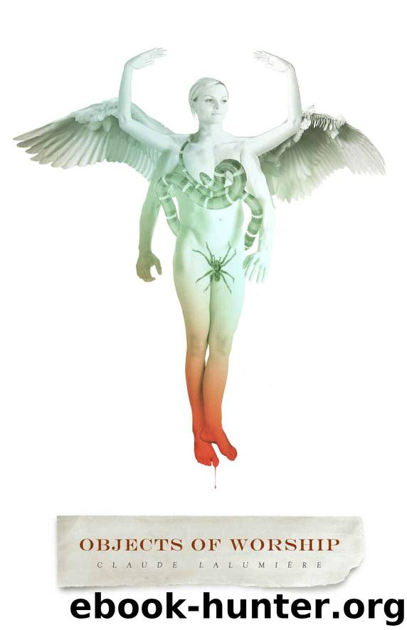 Objects-Of-Worship by Claude Lalumiere