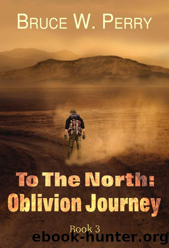 Oblivion Journey by Bruce W. Perry