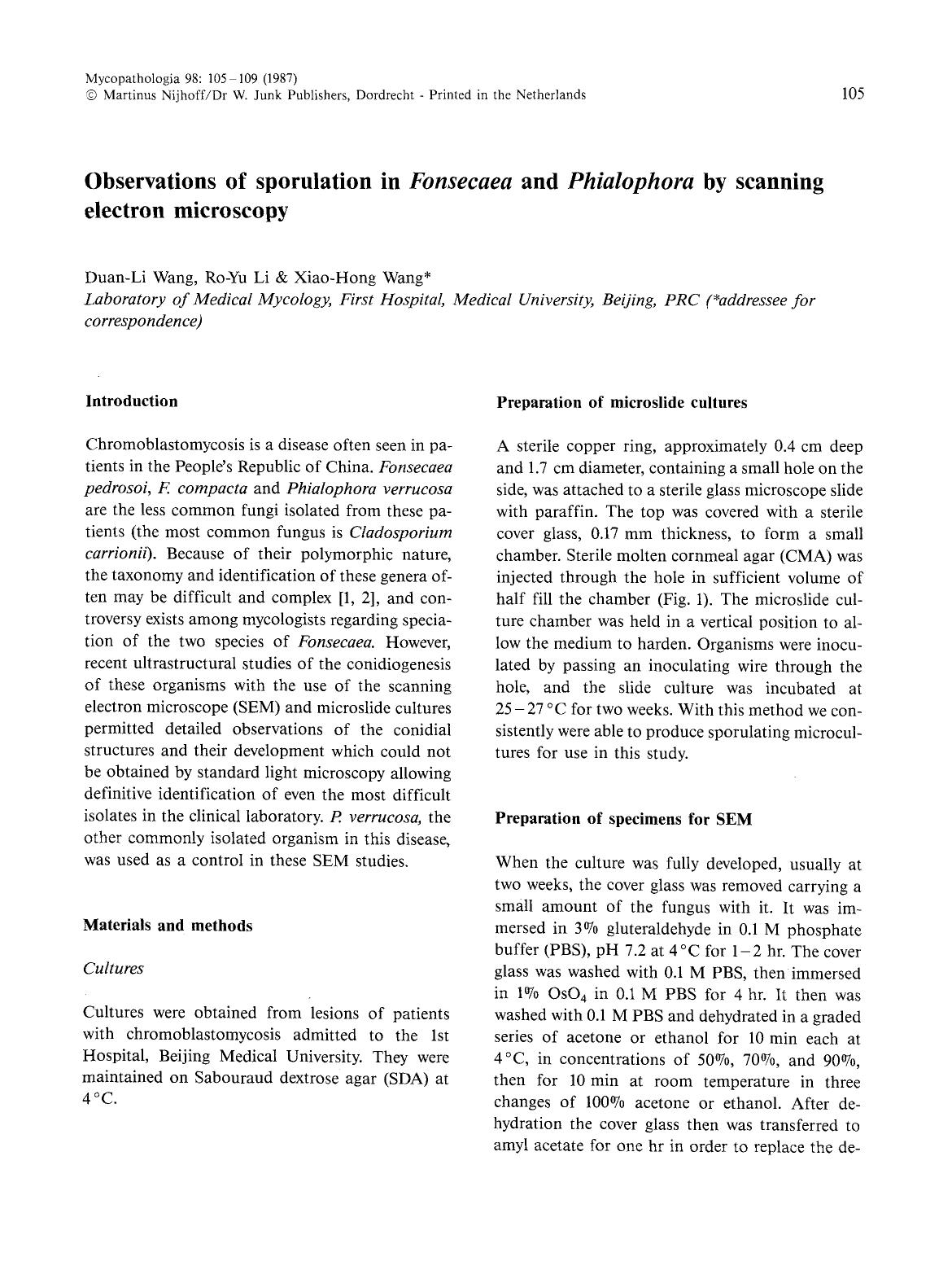 Observations of sporulation in <Emphasis Type="Italic">Fonsecaea<Emphasis> and <Emphasis Type="Italic">Phialophora<Emphasis> by scanning electron microscopy by Unknown