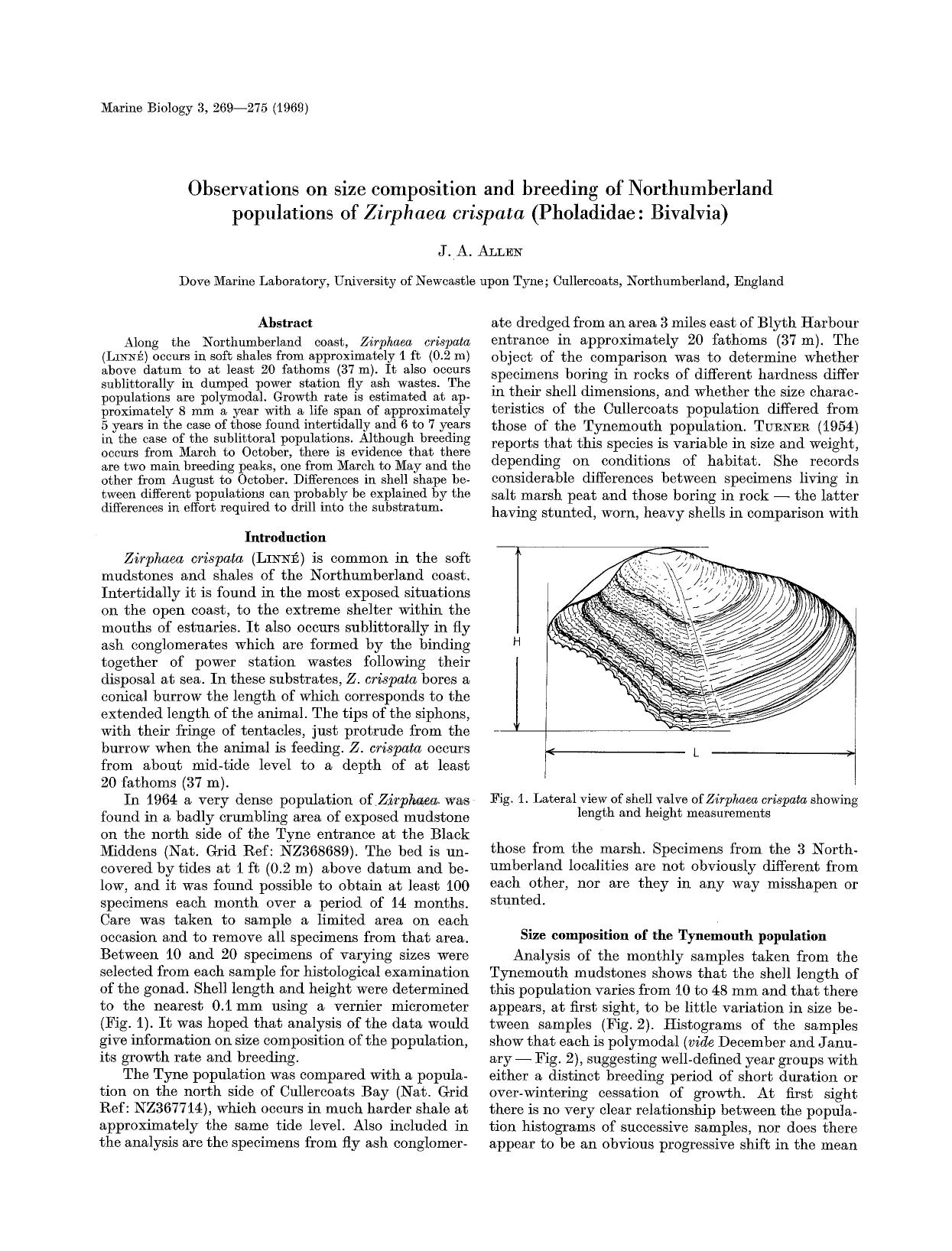 Observations on size composition and breeding of Northumberland populations of <Emphasis Type="Italic">Zirphaea crispata<Emphasis> (Pholadidae: Bivalvia) by Unknown