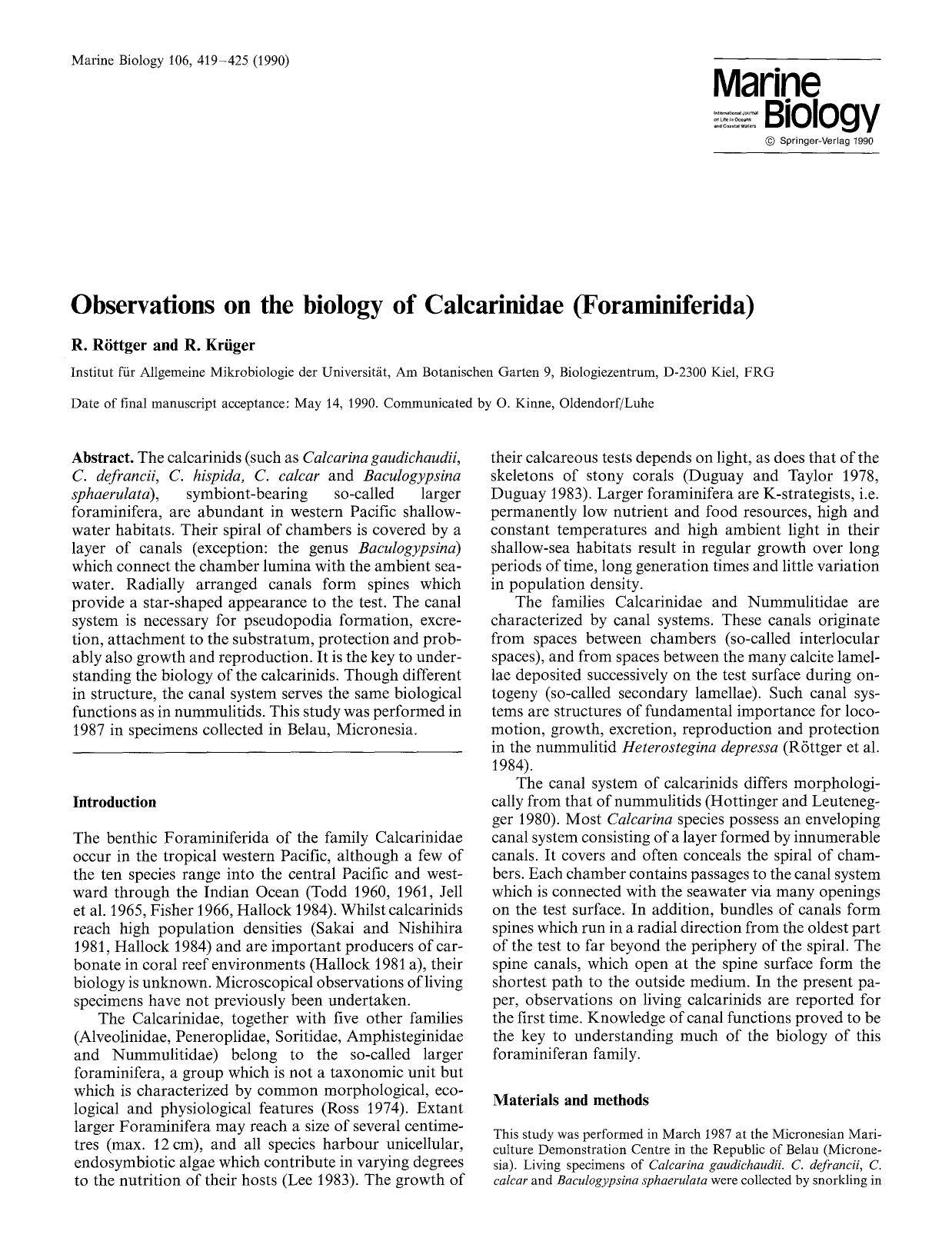 Observations on the biology of Calcarinidae (Foraminiferida) by Unknown