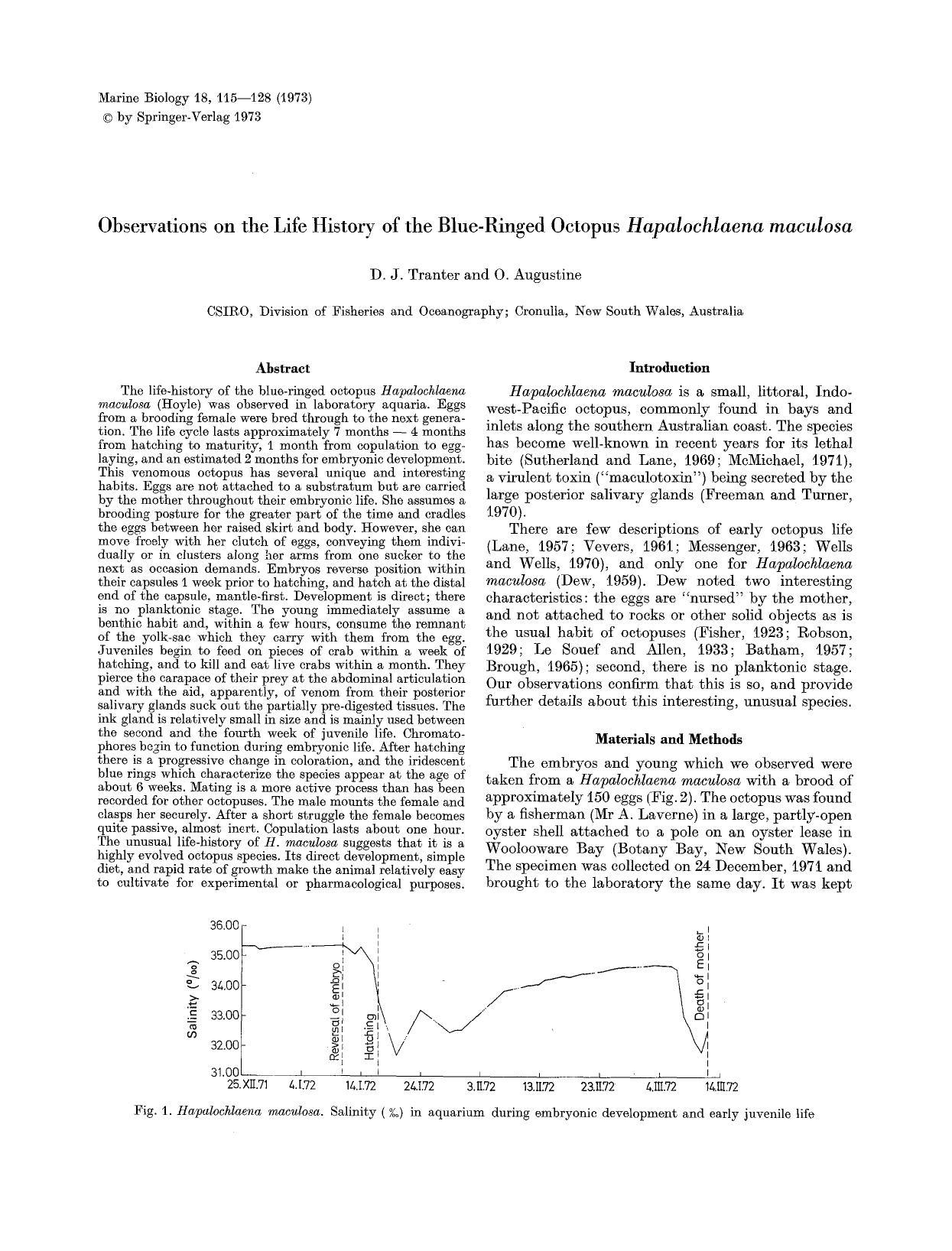 Observations on the life history of the blue-ringed octopus <Emphasis Type="Italic">Hapalochlaena maculosa<Emphasis> by Unknown
