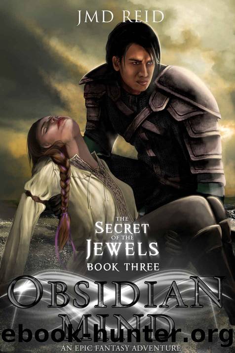Obsidian Mind by J M D Reid