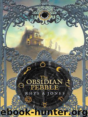 Obsidian Pebble by Rhys Jones