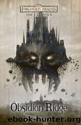 Obsidian Ridge (The Citadels) by Jess Lebow