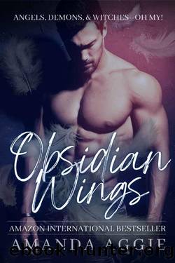 Obsidian Wings: A Steamy Paranormal Romantic Comedy (The Otherworldly Book 1) by Amanda Aggie